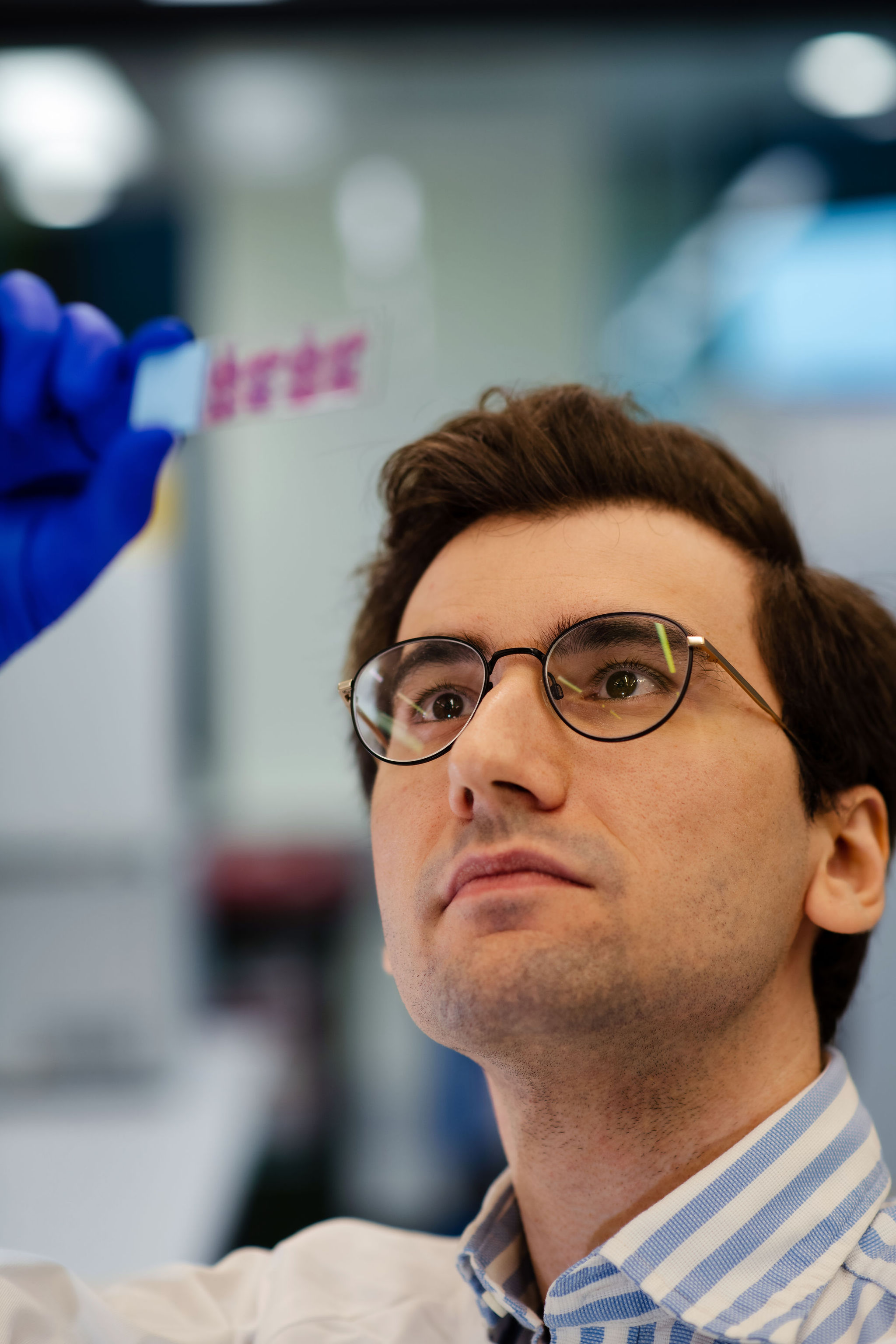 Honours research program